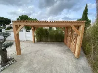 Carport en Douglas massif naturel  (1)
