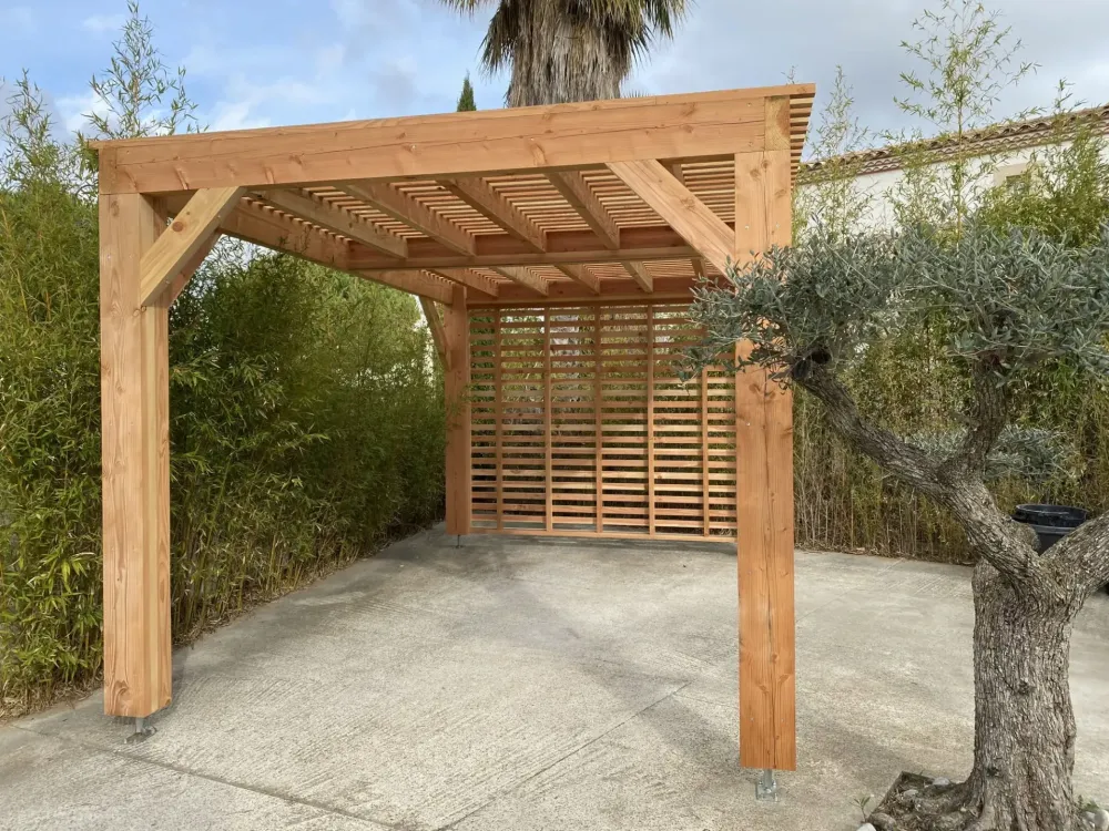 Carport en Douglas massif naturel  (2)