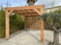 Carport en Douglas massif naturel  (2)
