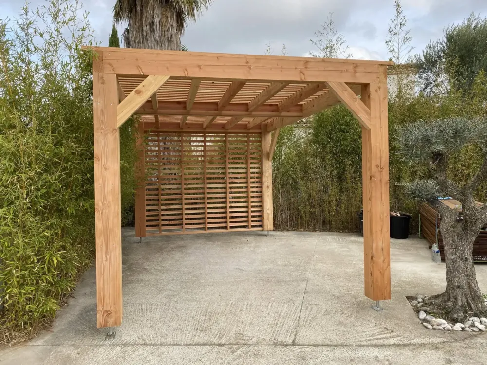 Carport en Douglas massif naturel  (3)