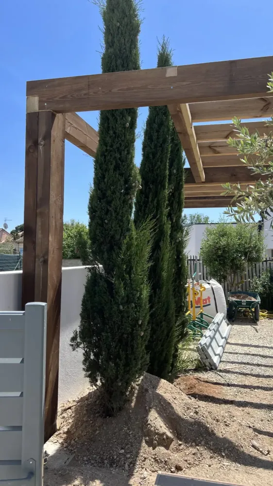 Pergola en Pin autoclave (4)