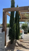 Pergola en Pin autoclave (4)