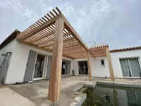 Pergola en Douglas naturel massif (1)